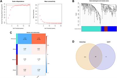 Exploration of comorbidity mechanisms and potential therapeutic targets of rheumatoid arthritis and pigmented villonodular synovitis using machine learning and bioinformatics analysis